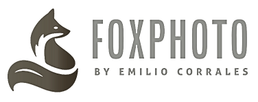 Foxphoto